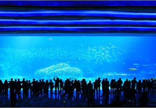 Aquarium & Theme Parks